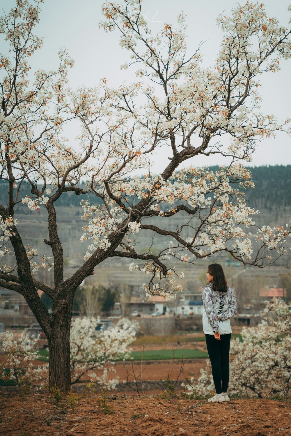 femme en chemise blanche à manches longues debout à côté de l’arbre brun pendant la journée