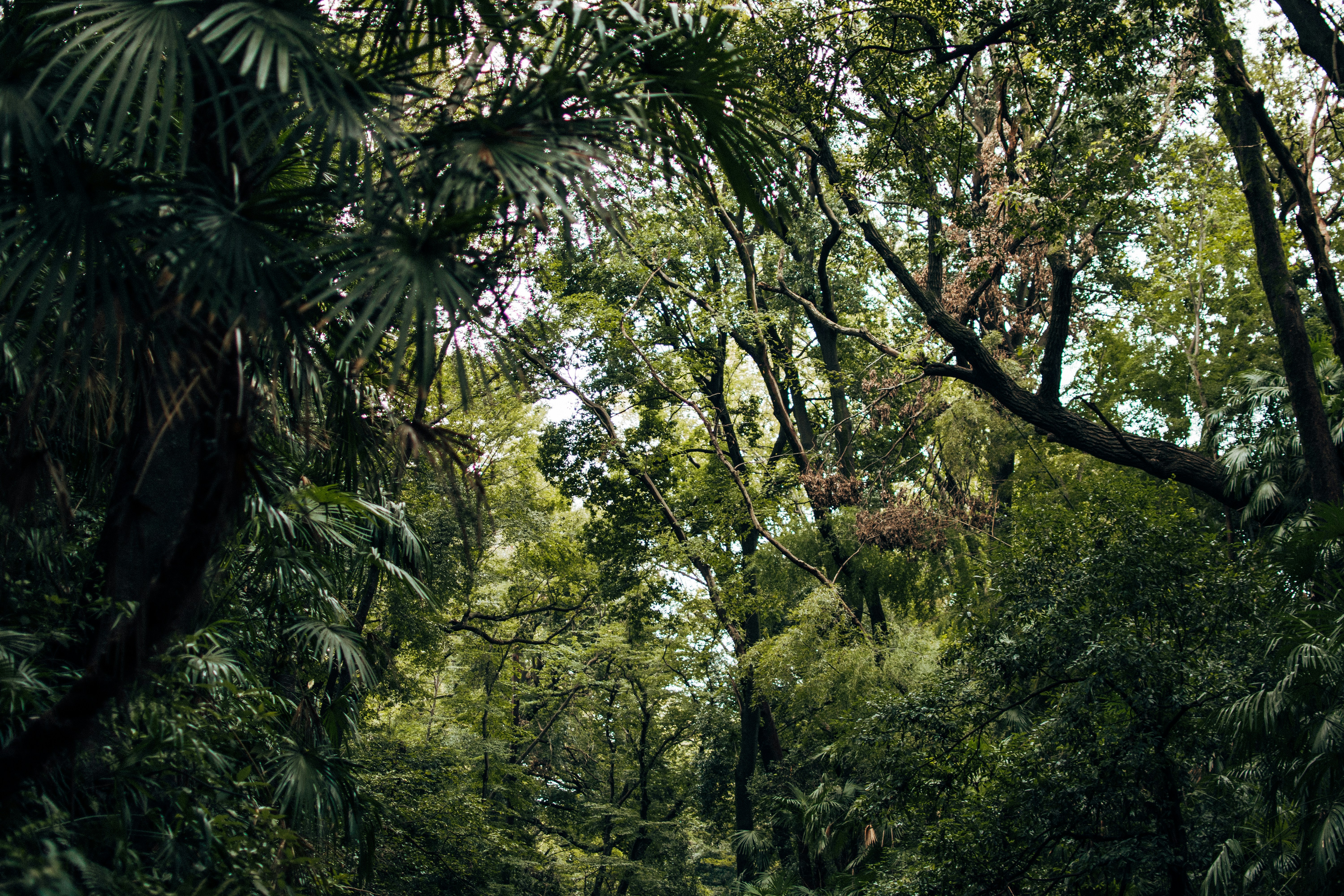 Photo by sebastianhages