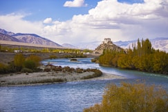 green trees near river under blue sky during daytime