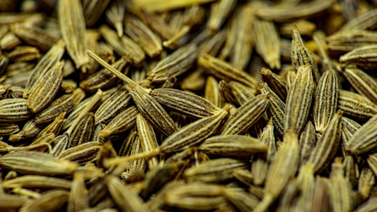 A close-up shot of cumin seeds, displaying their detailed texture and elongated shape. The seeds are light brown with distinct ridges, tightly packed together, and overlapping in a random manner.