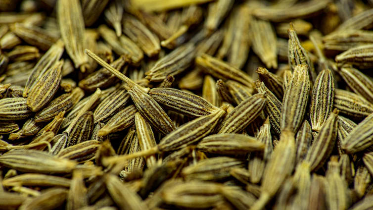 Close-up of vibrant cumin seeds spilling from a rustic burlap sack.