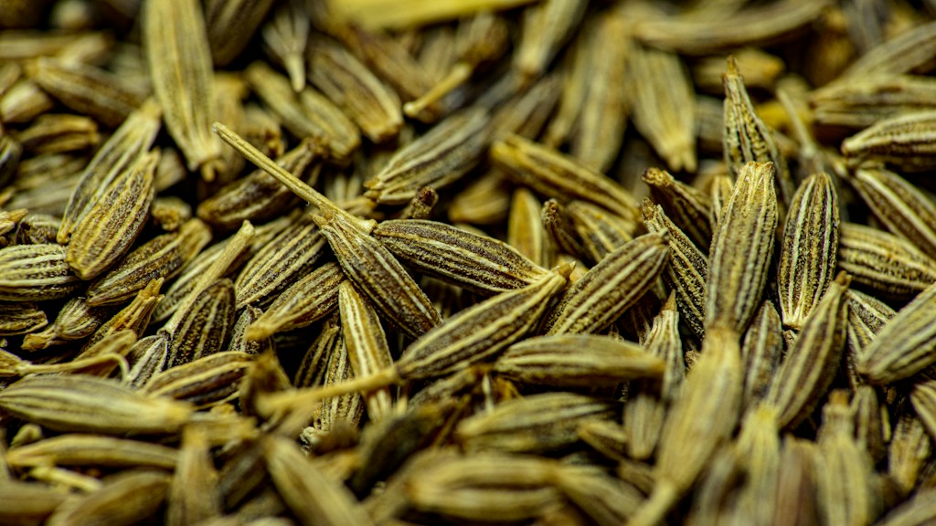 Cumin Seeds