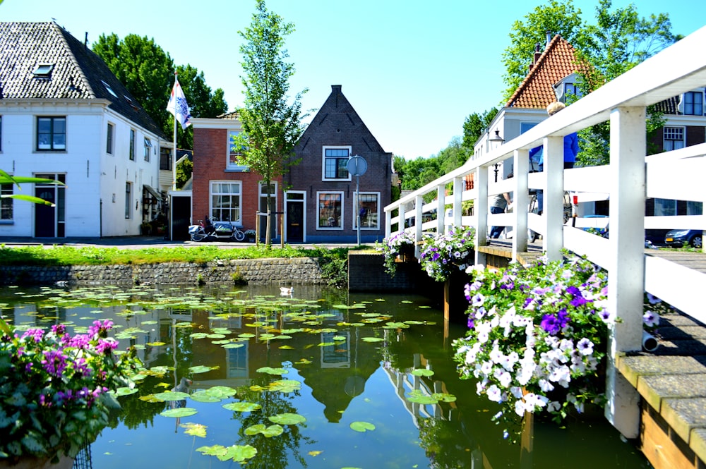 brown and white concrete house beside river during daytime