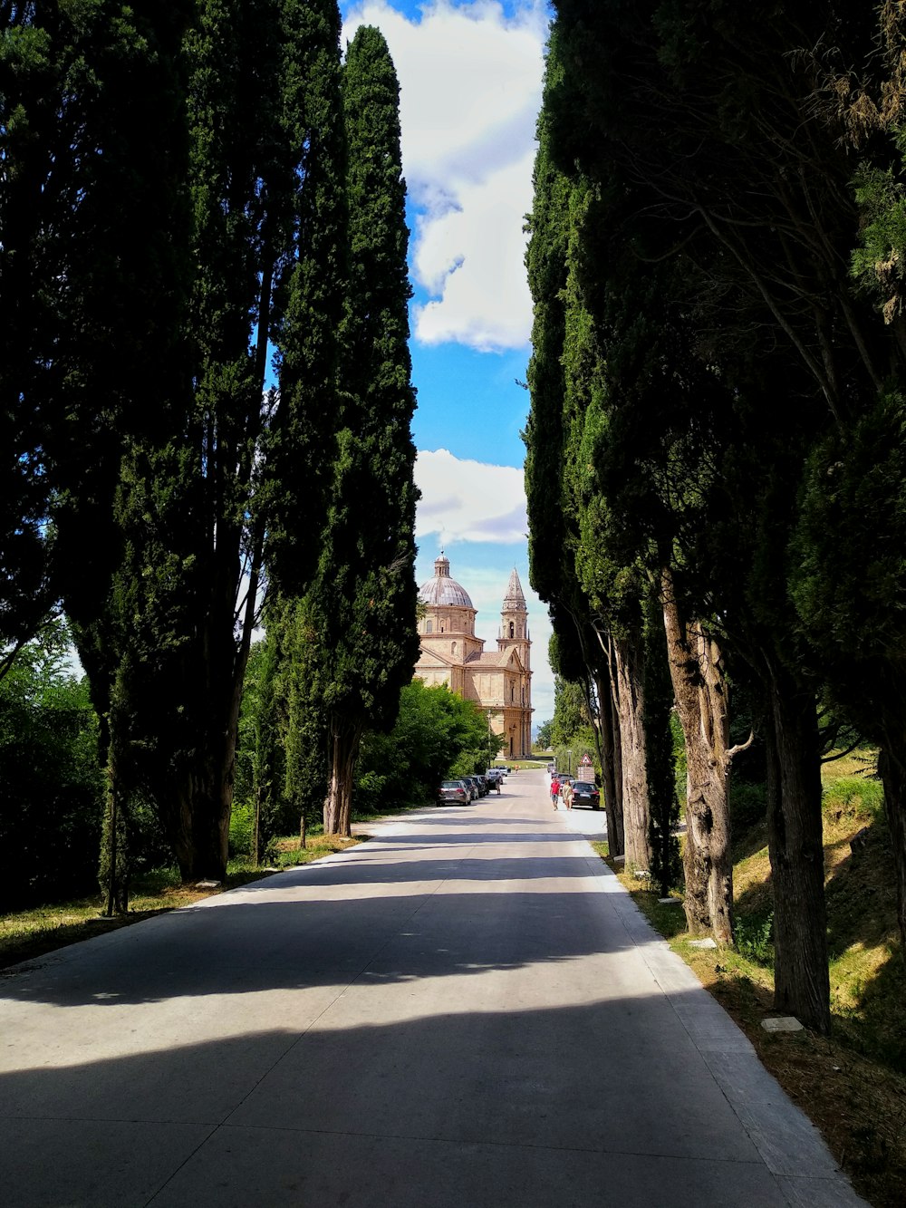 gray concrete road between green trees under blue sky during daytime