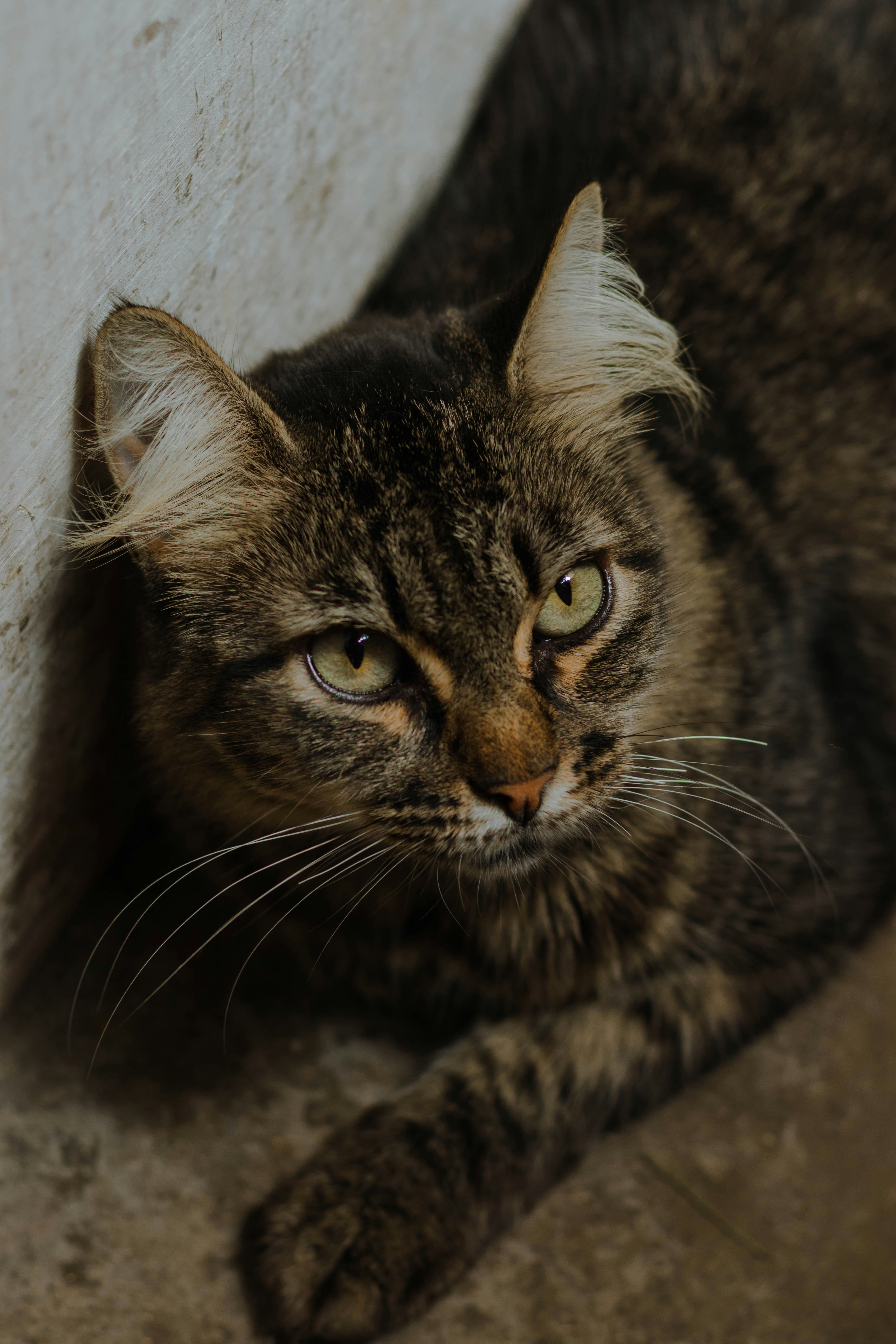 Photo by fraynavarro