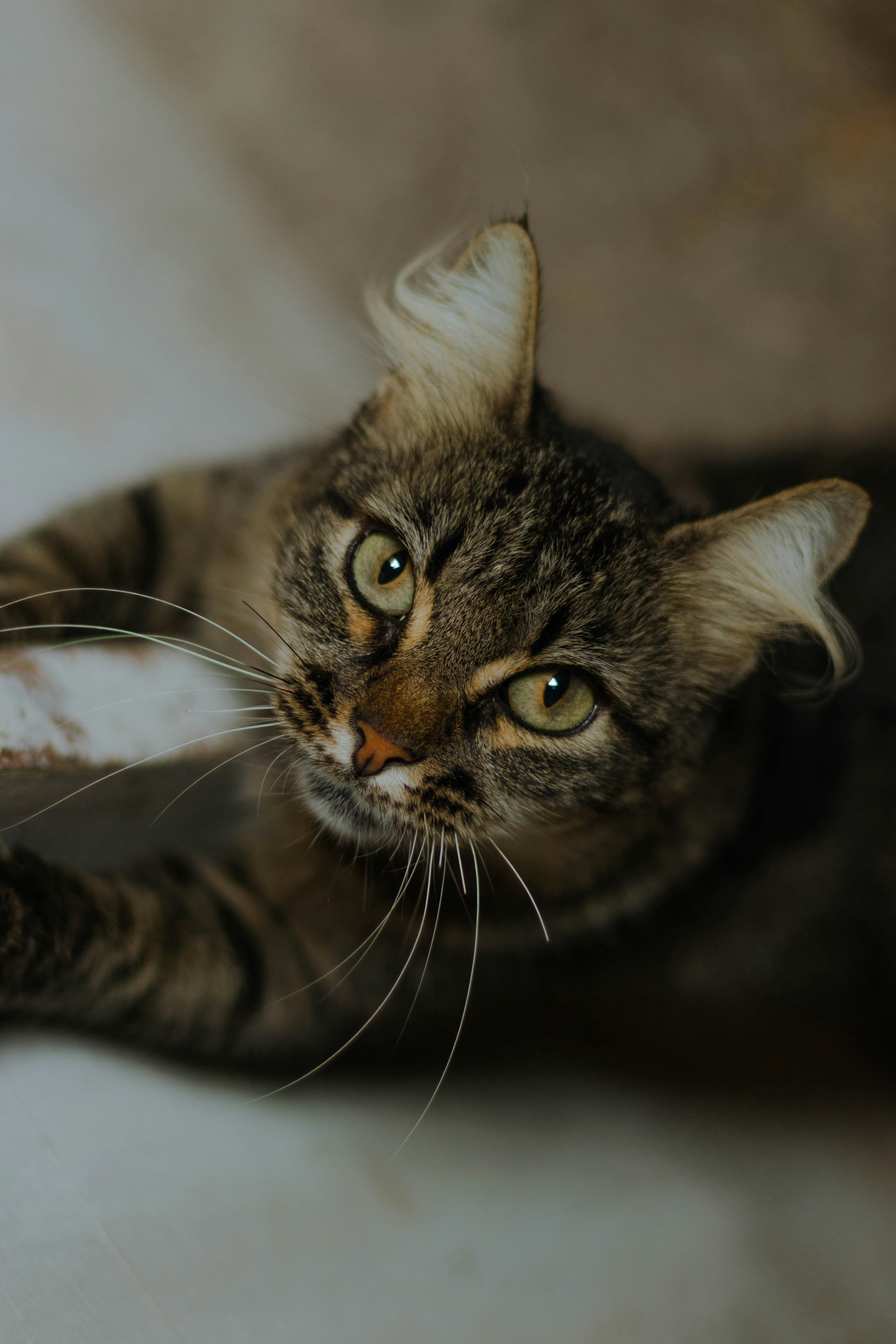 Photo by fraynavarro