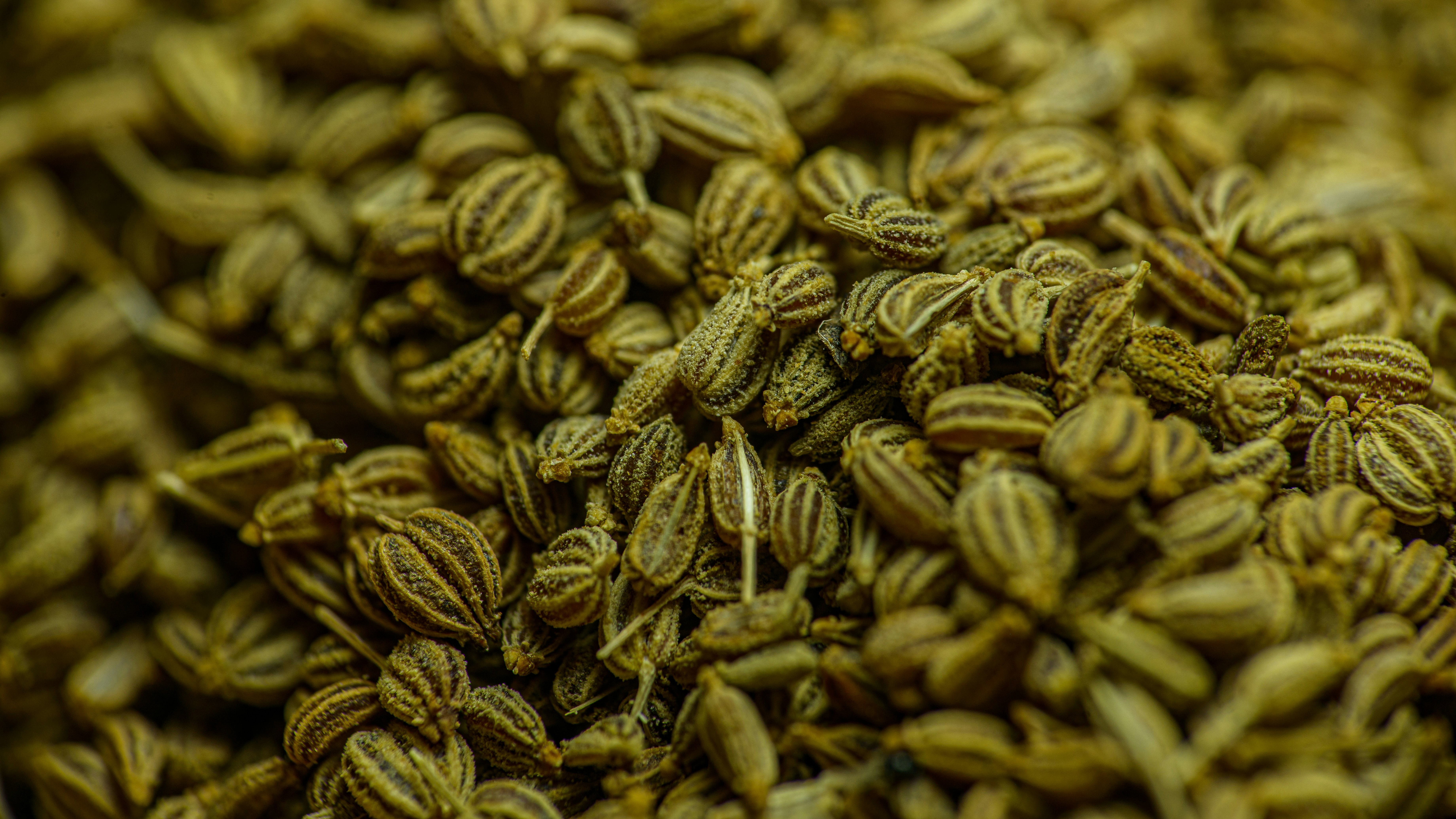 Close-up of whole cumin seeds in warm brown tones against a dark wooden surface