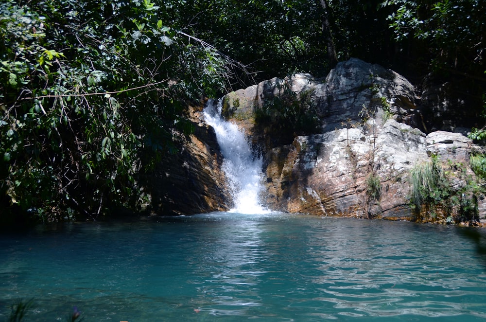 Wasserfälle in der Nähe von grünen Bäumen während des Tages