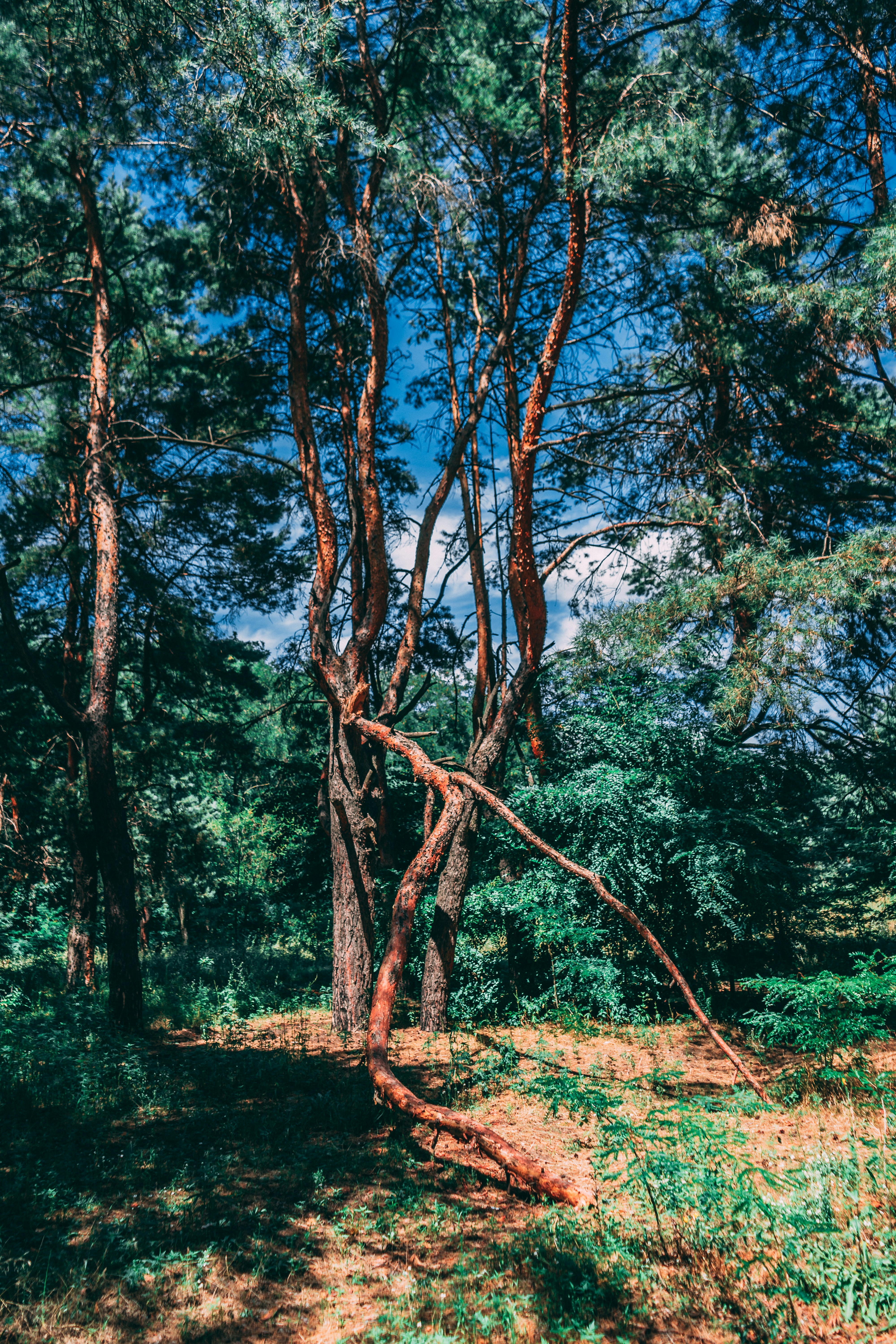 Photo by virussinside