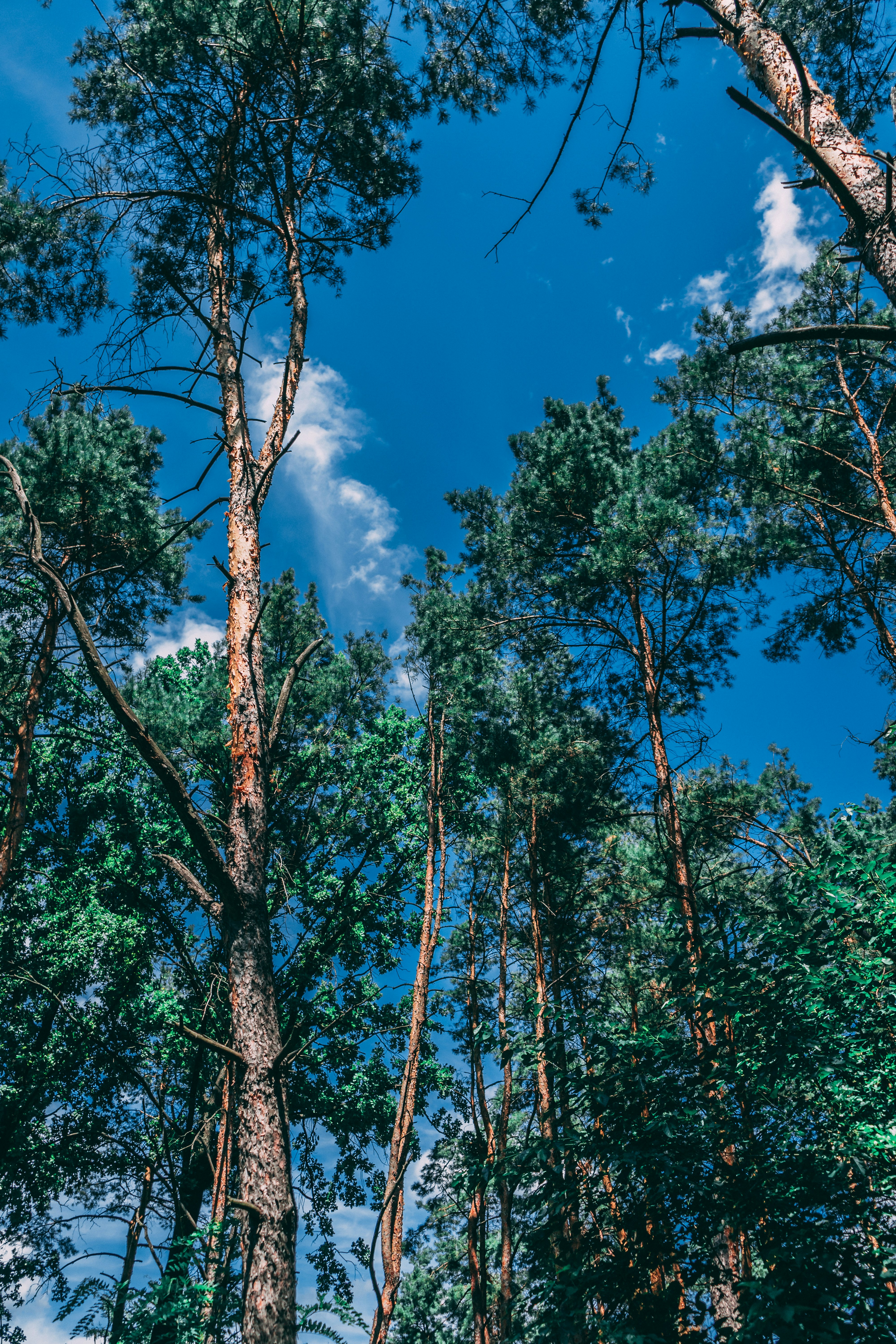 Photo by virussinside