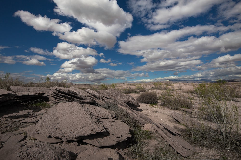 Campo di erba marrone e verde sotto cielo blu e nuvole bianche durante il giorno