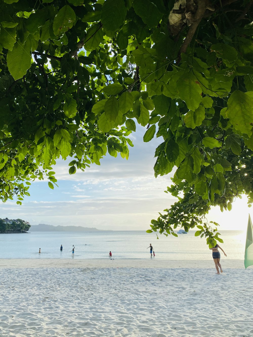 people walking on beach during daytime