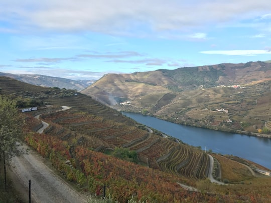 green and brown mountains near body of water during daytime in Quinta do Seixo Portugal