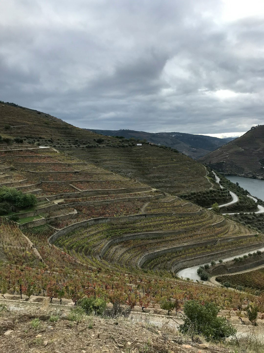 Hill photo spot Valença do Douro Loriga