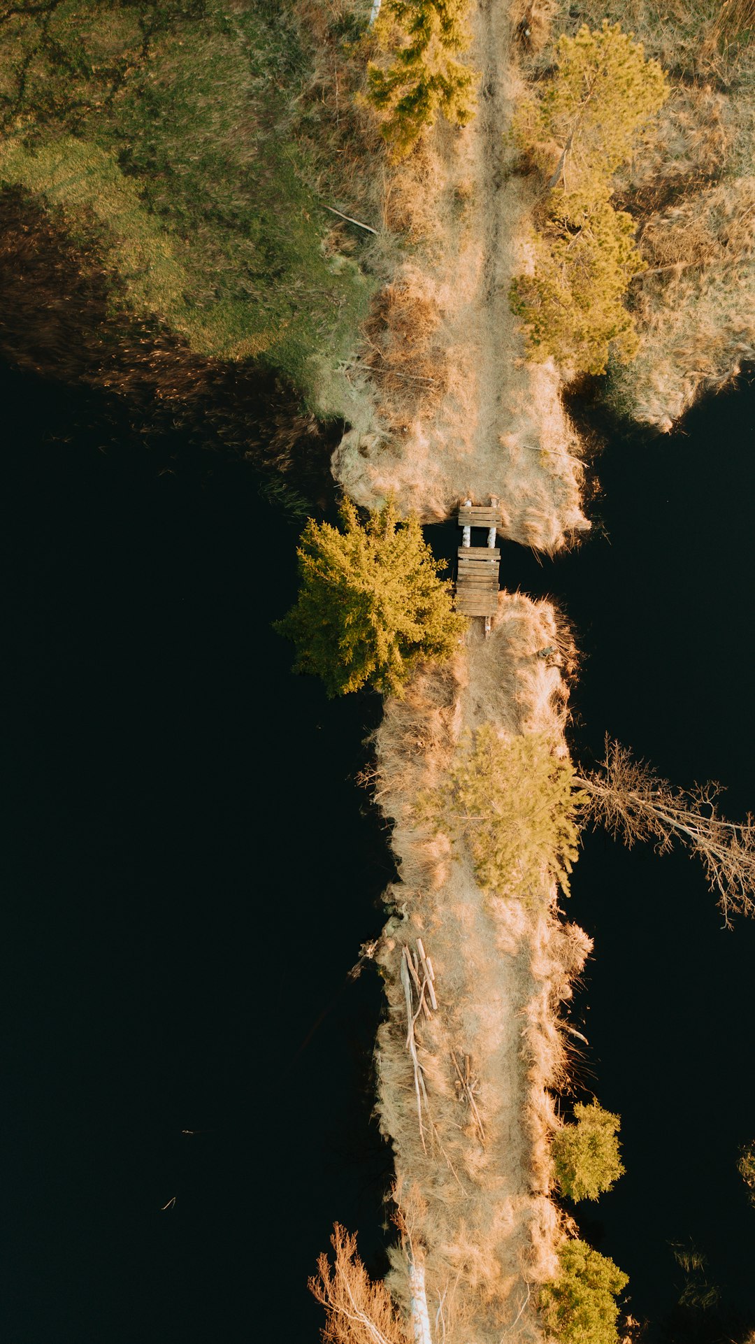 white and black tower in the middle of green trees