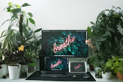black flat screen tv turned on near green indoor plant