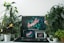 black flat screen tv turned on near green indoor plant