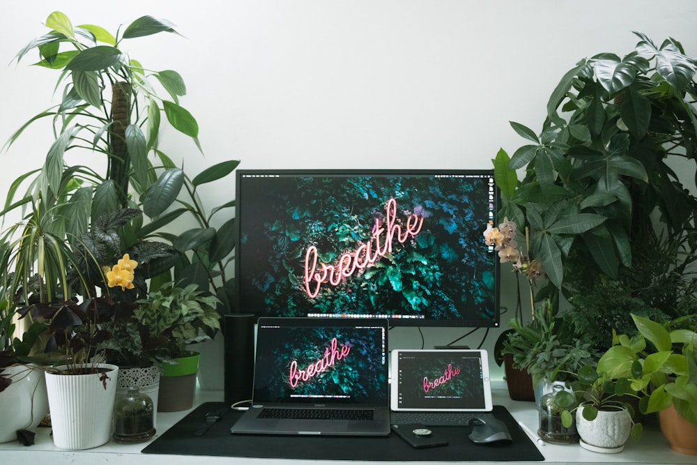 녹색 실내 식물 근처에서 켜진 검은 색 평면 스크린 TV