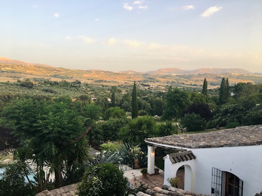 green trees near white house during daytime in Ronda Spain