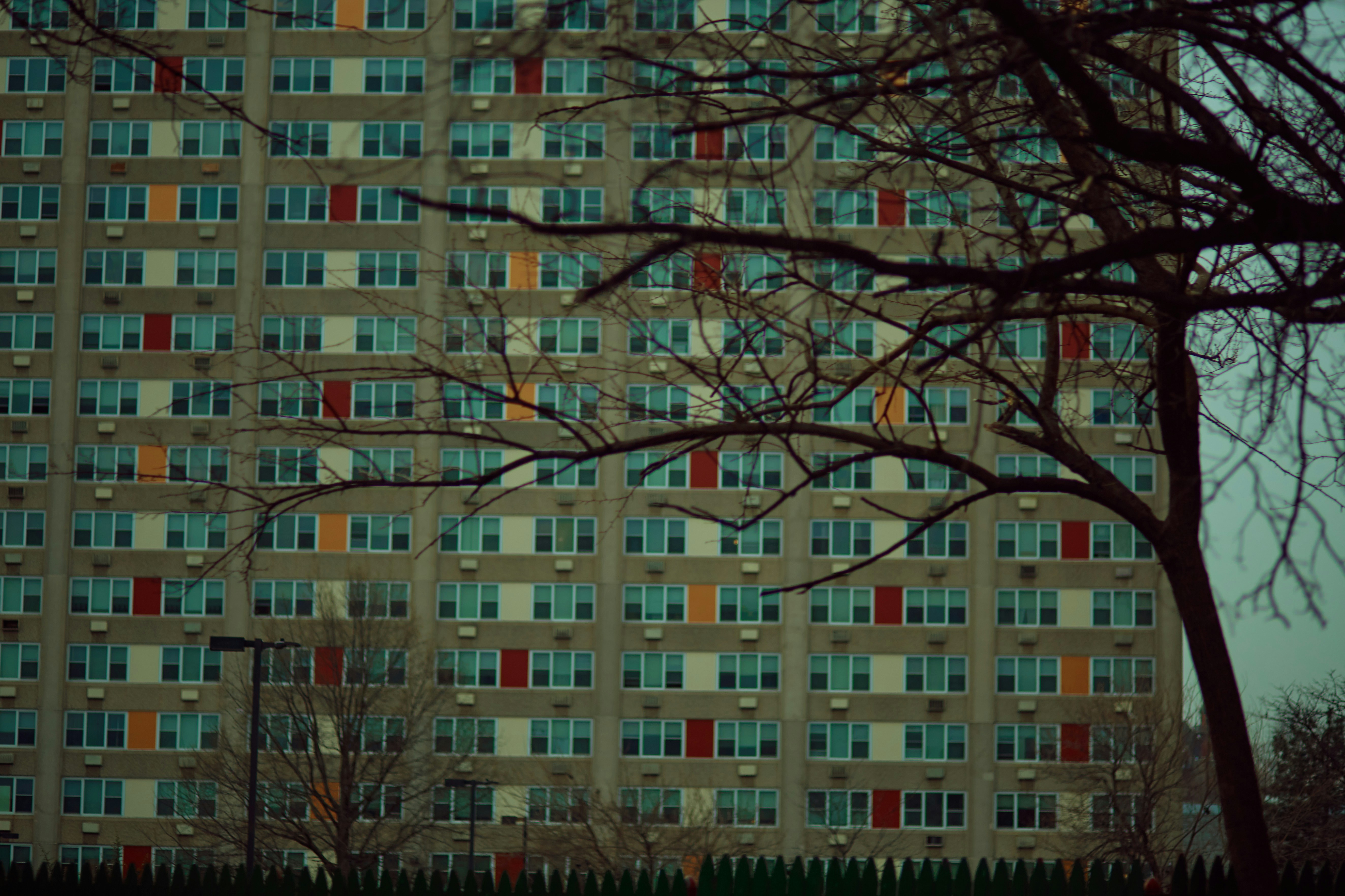 Apartment building with colorful windows and bare tree branches