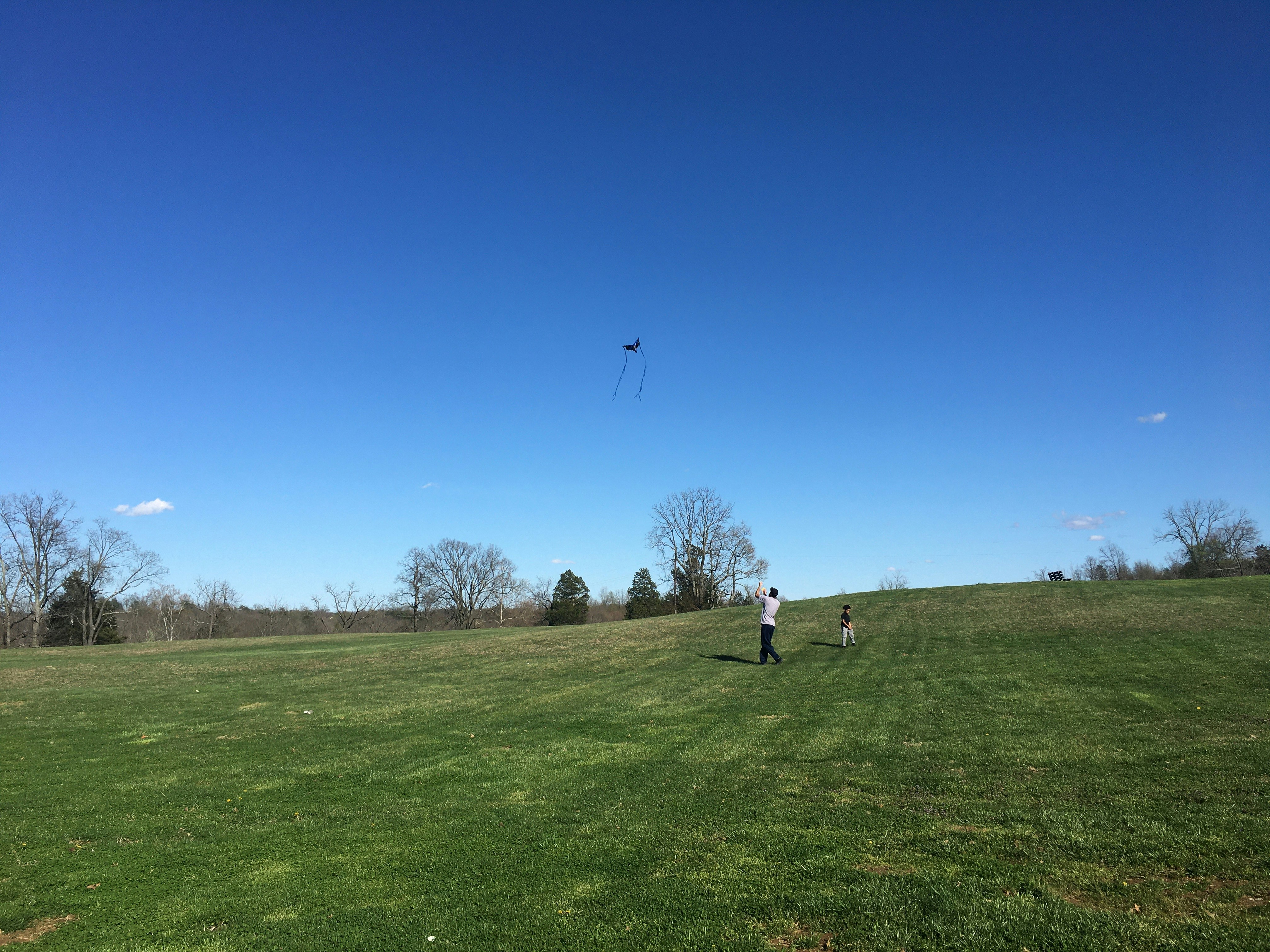 A person in a white shirt and black pants standing on a green grass field under a blue sky