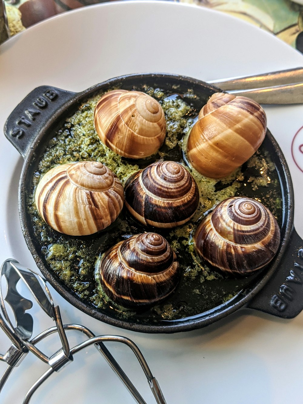 six brown and white sea shells on black ceramic plate