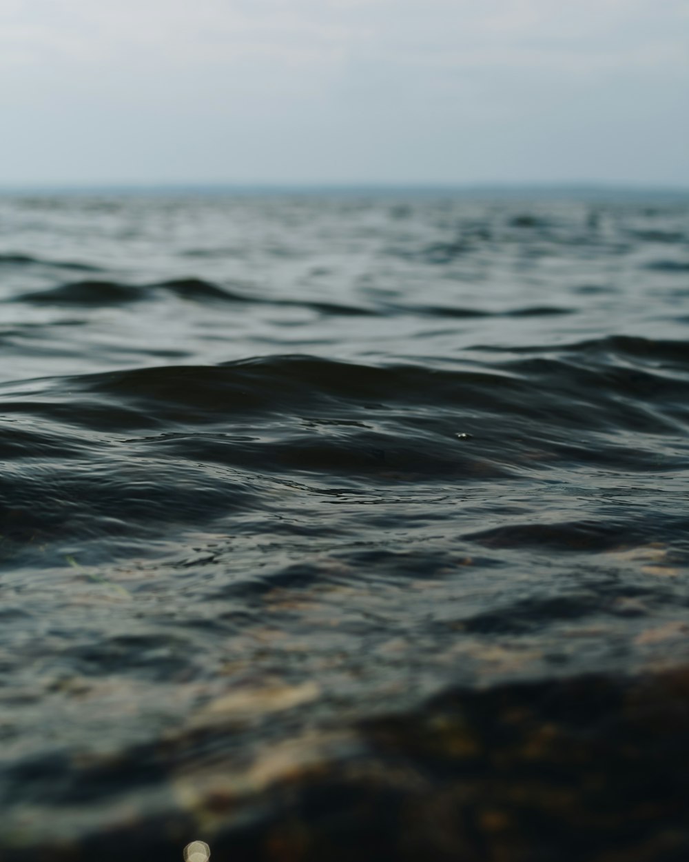 cuerpo de agua durante el día