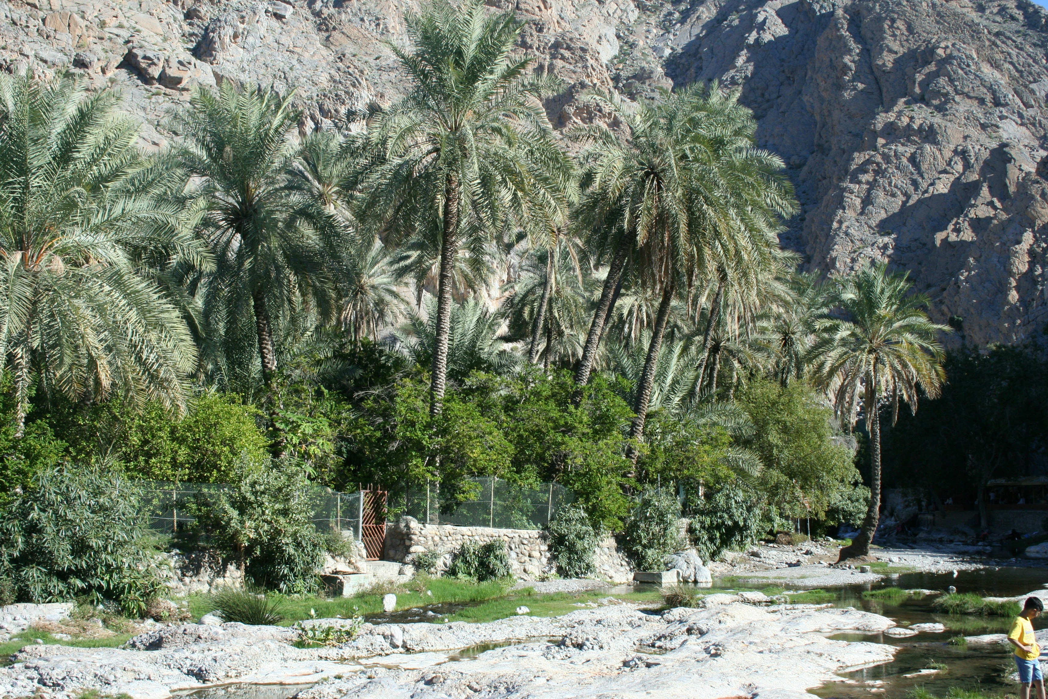AthThawarah Spring - Oman
