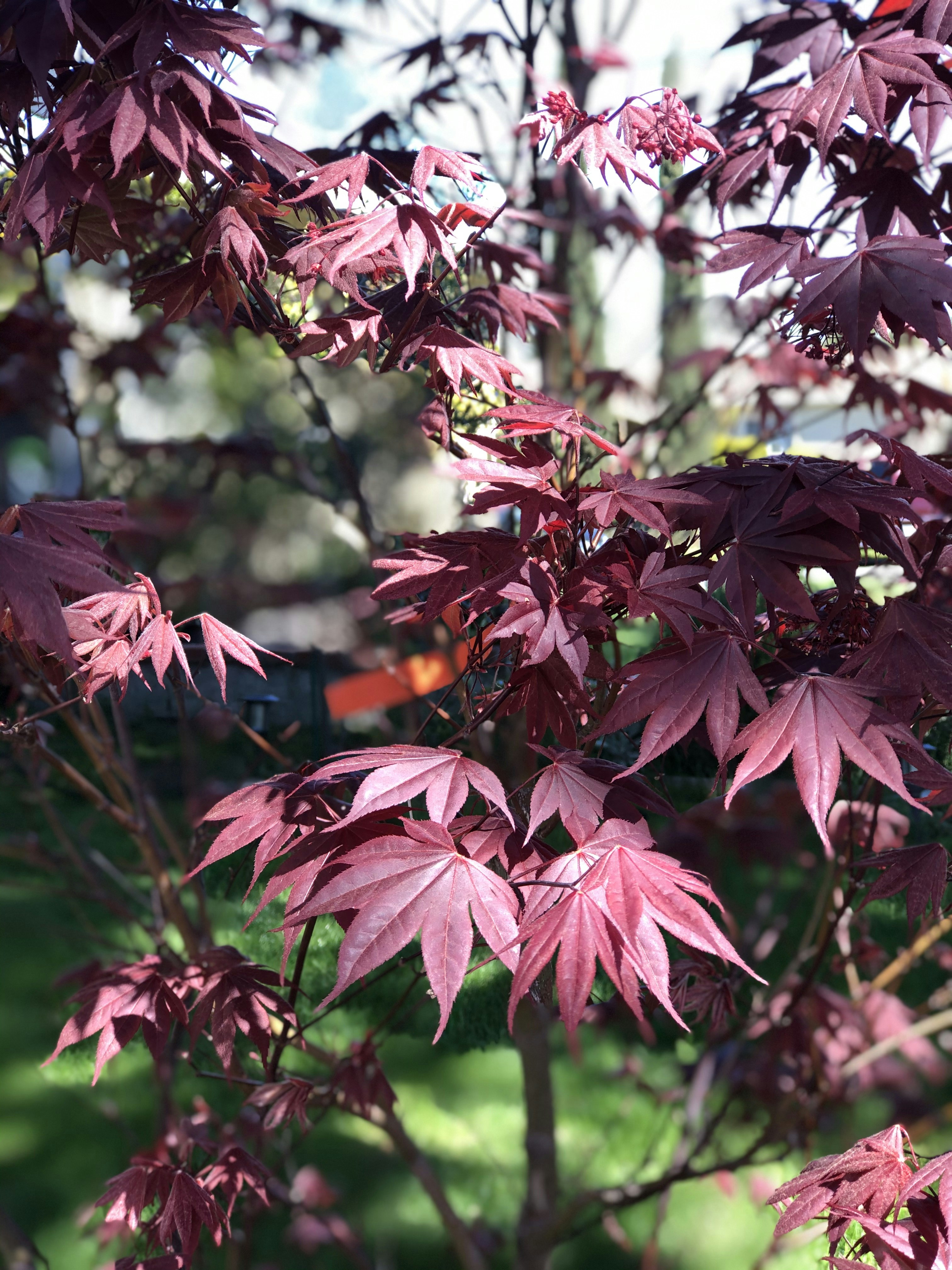 Photo by gerardoramirez