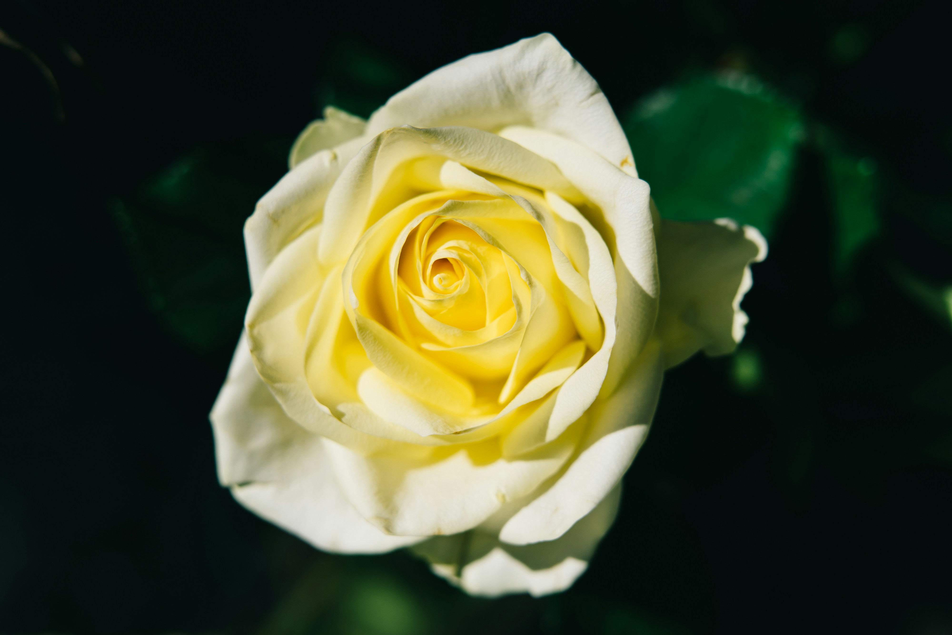 Photo by markuswinkler