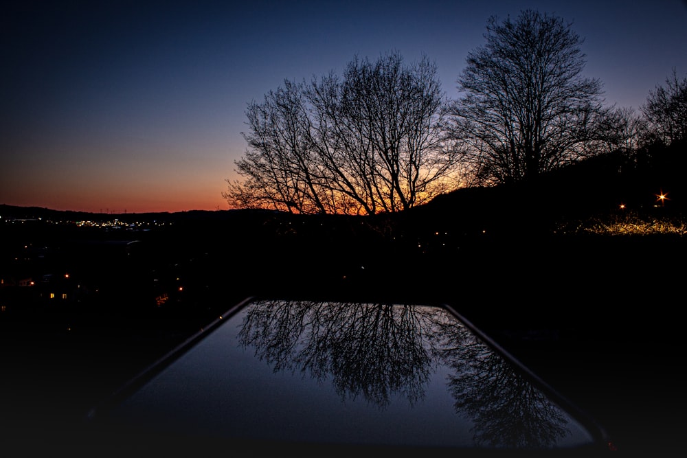 bare trees near body of water during night time