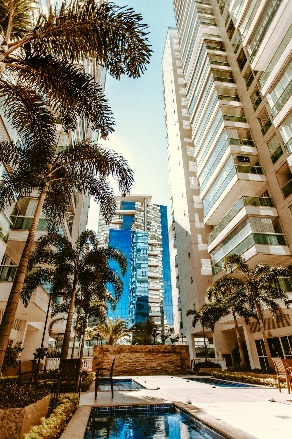 green palm trees near white concrete building during daytime