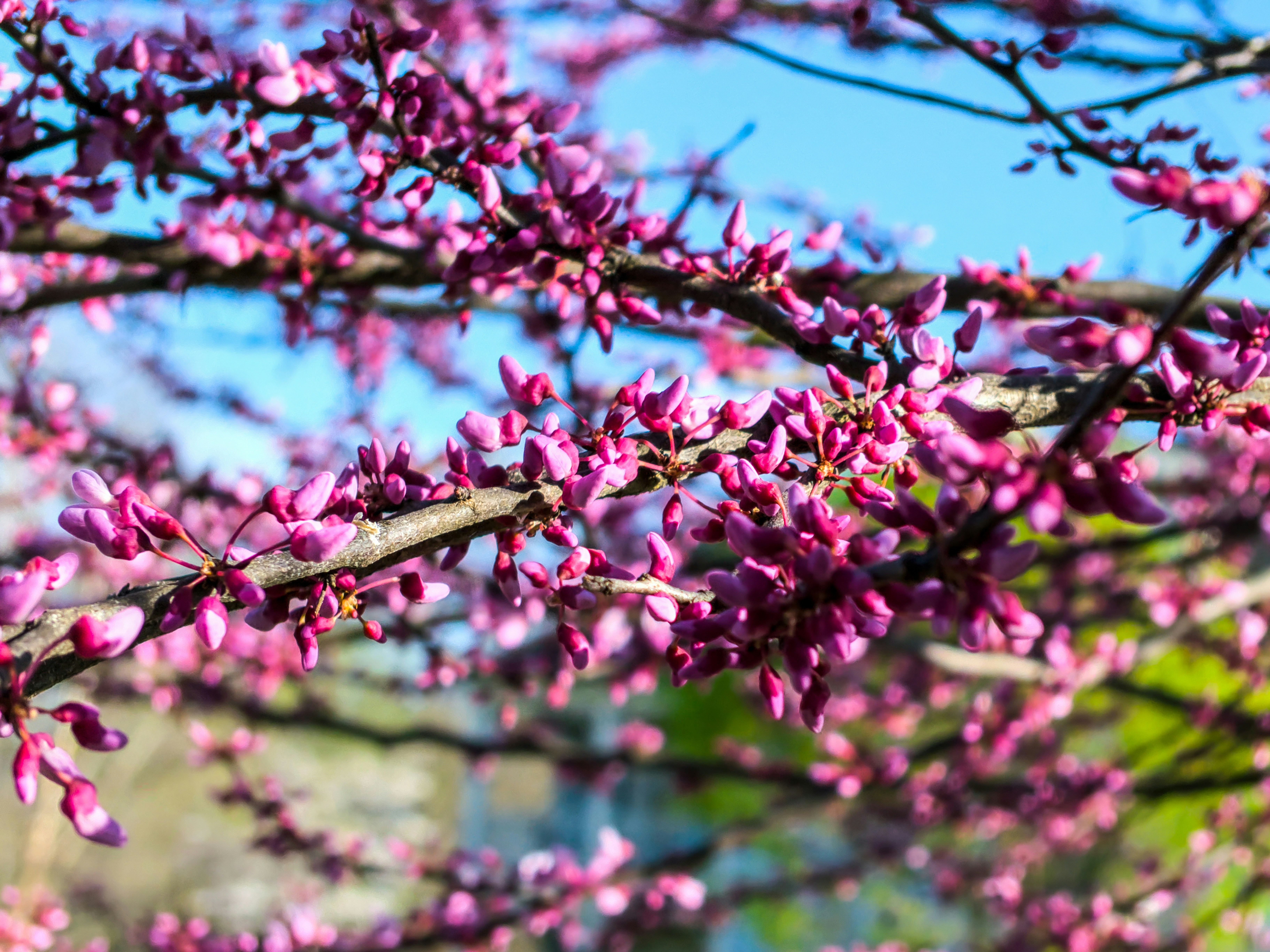 Photo by obionyeador