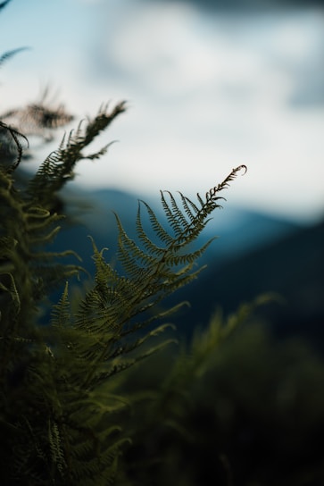 A beautiful landscape photograph taken by Fernanda Lem.