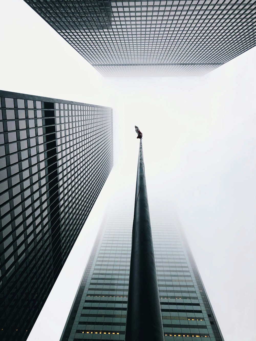 low angle photography of high rise building