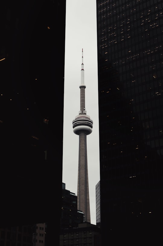 white and black tower during night time in CN Tower Canada