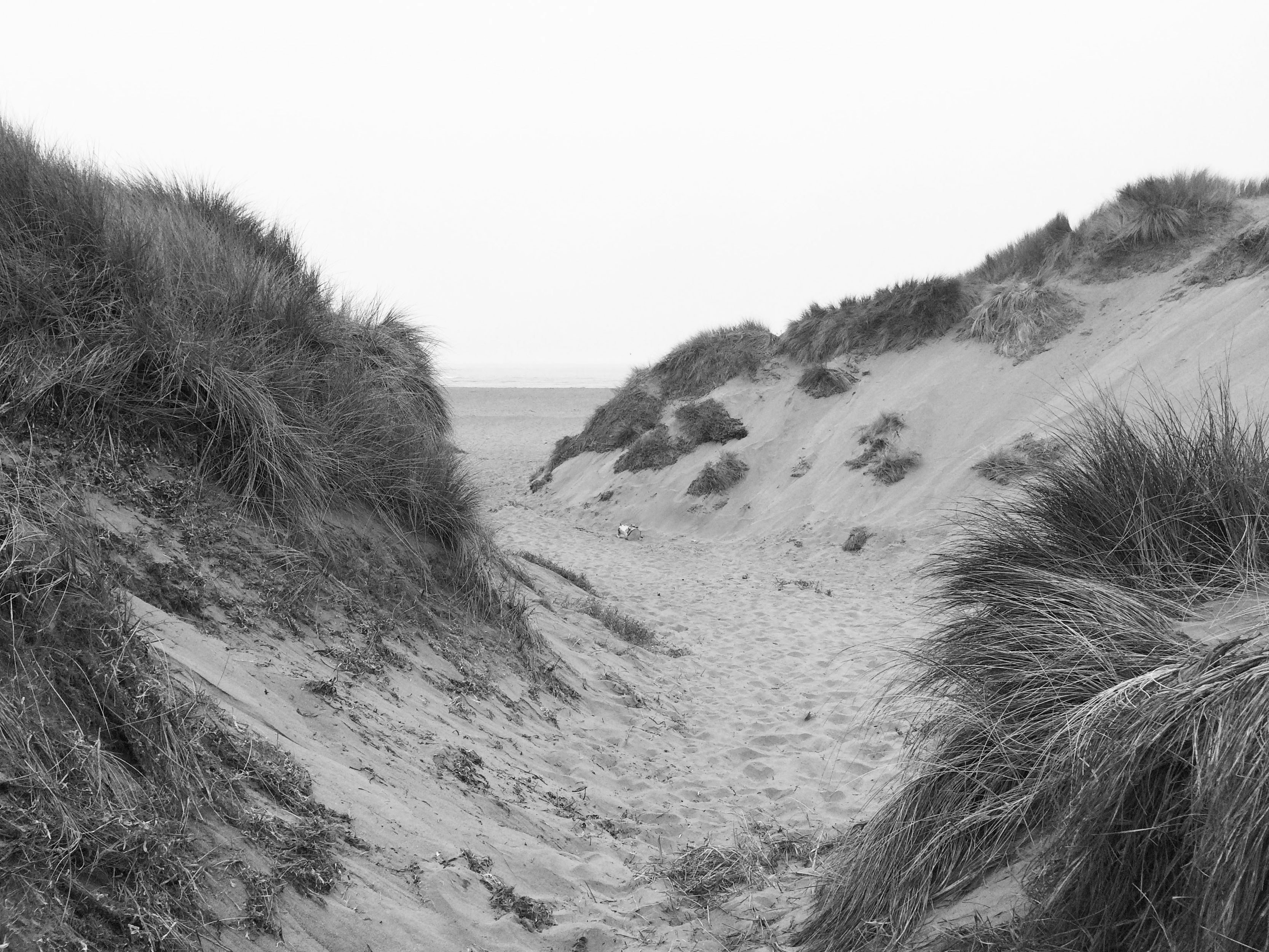 Photo by jhawes
