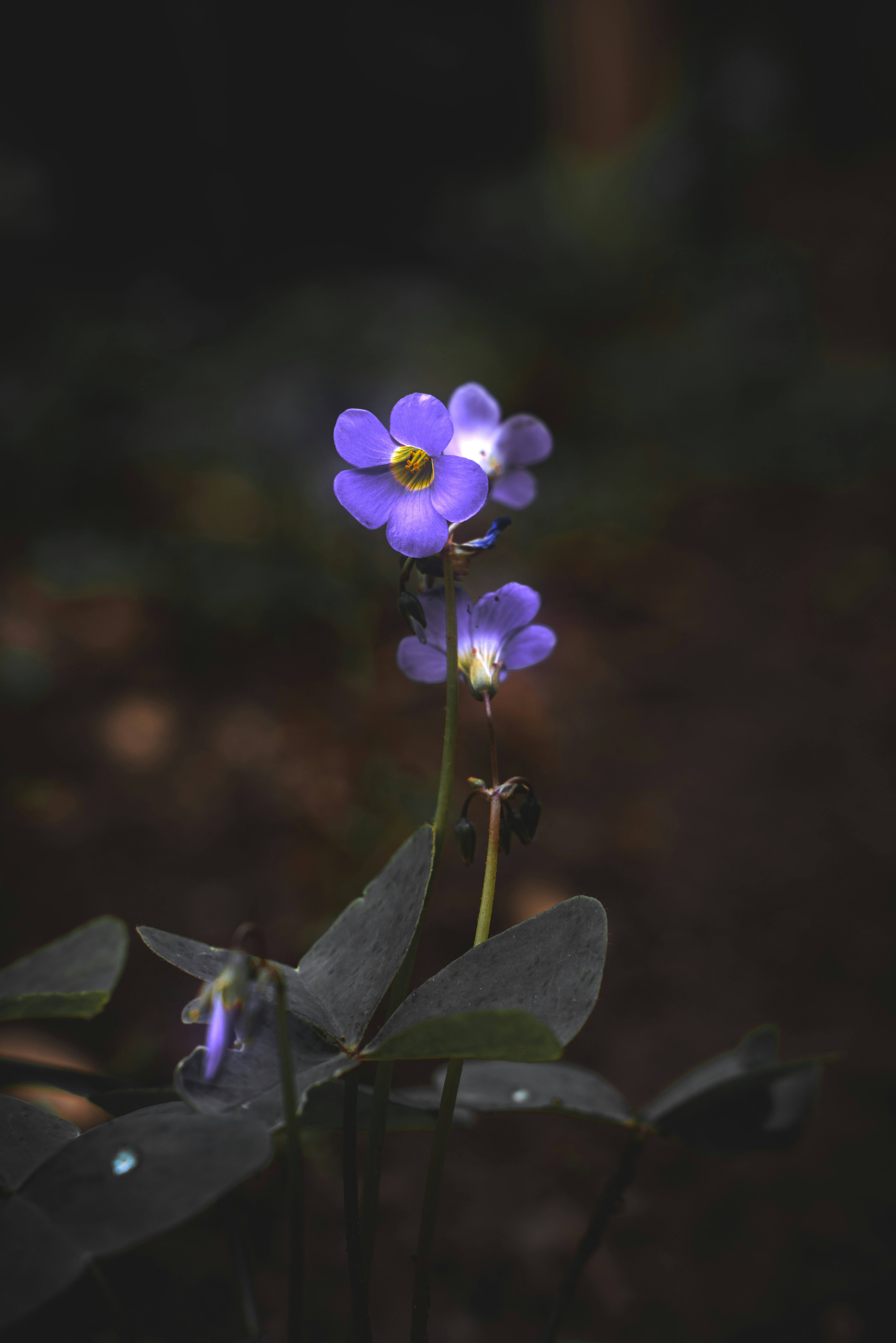 Photo by jphotography2012