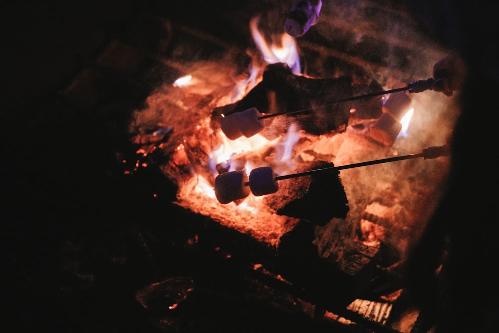 burning firewood on fire pit