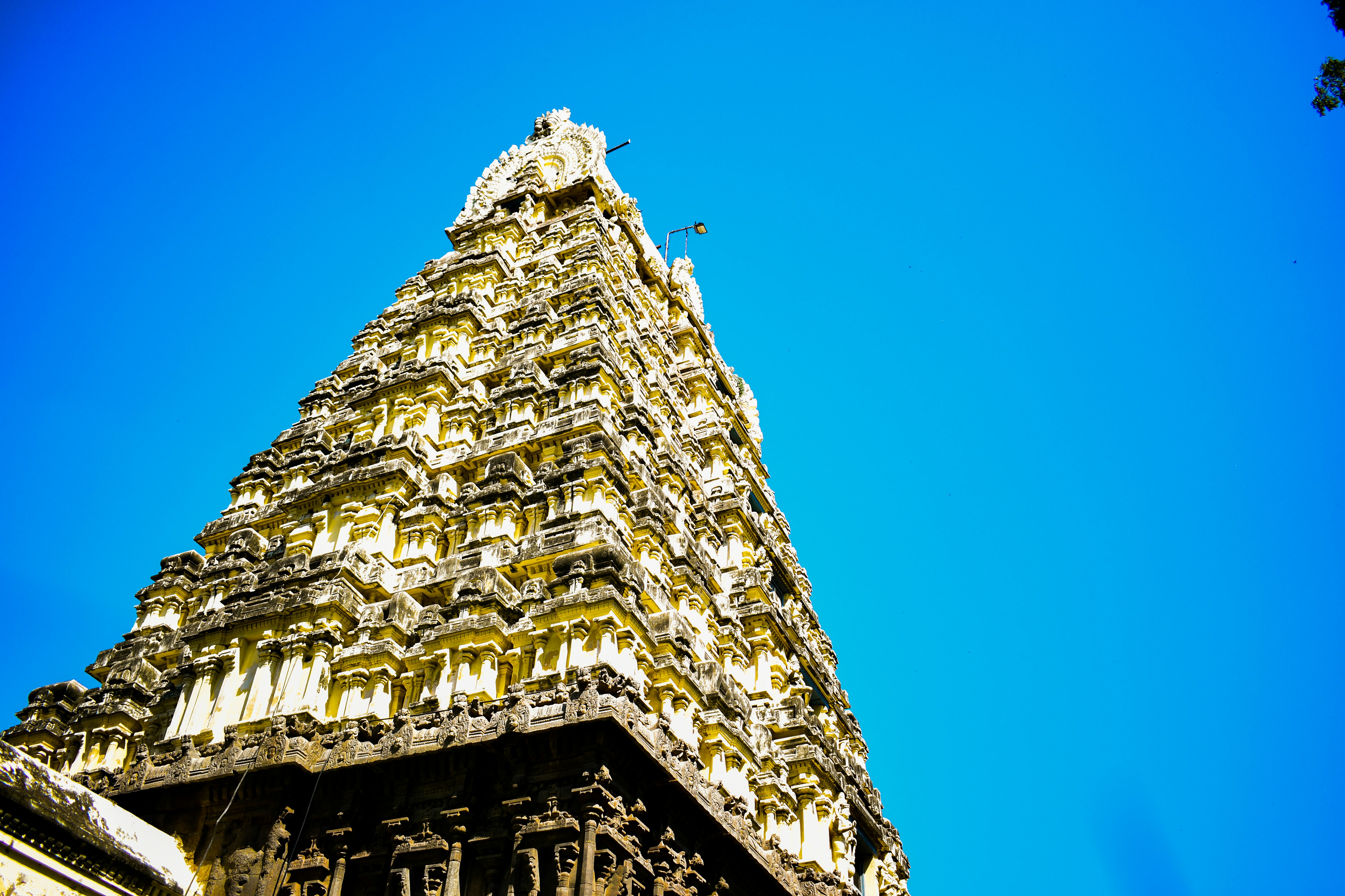 Photo by rachitelhance