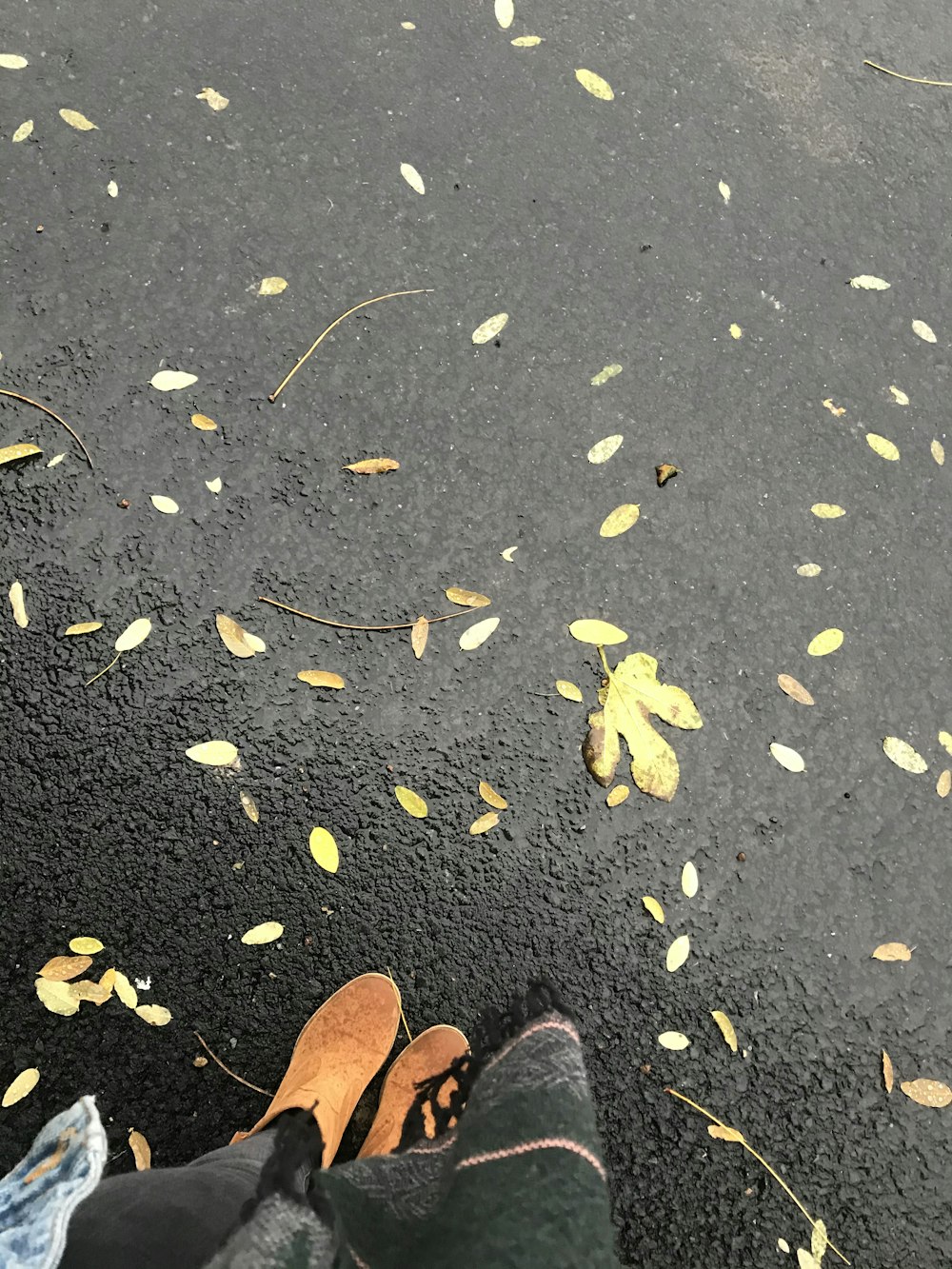 person in brown leather shoes standing on black asphalt road with yellow leaves