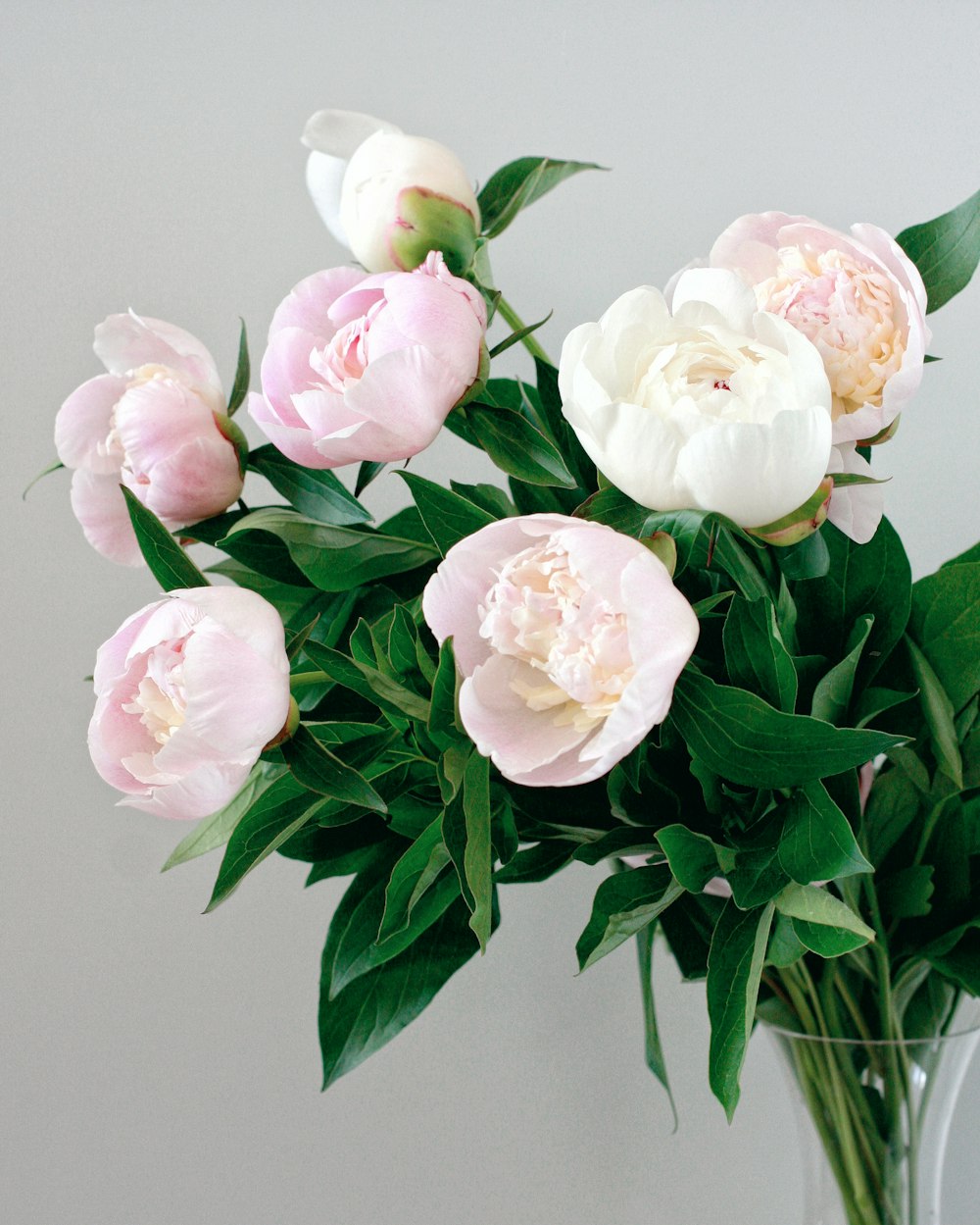 white and pink roses in clear glass vase