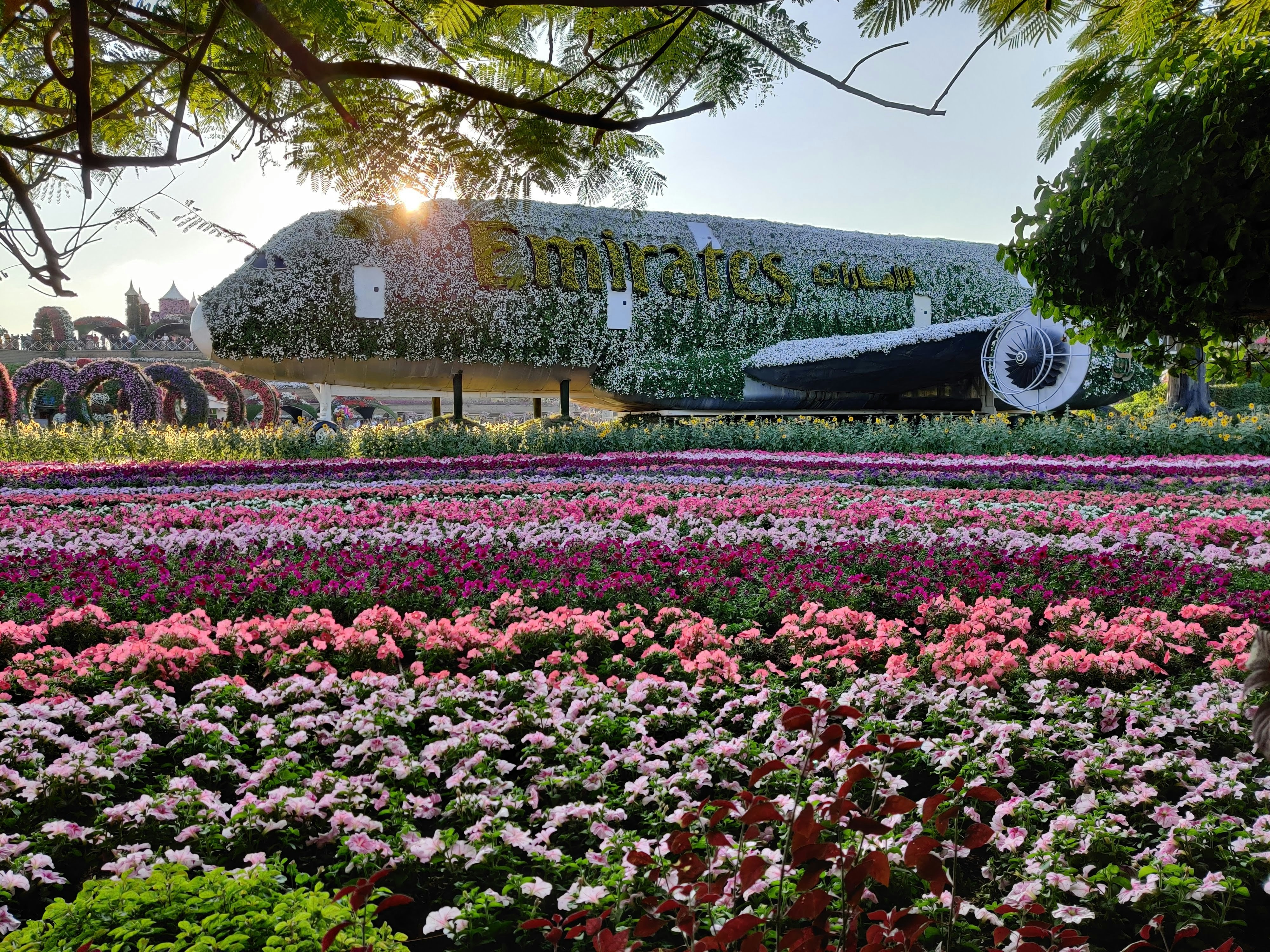 purple and white flower field near brown concrete building during daytime