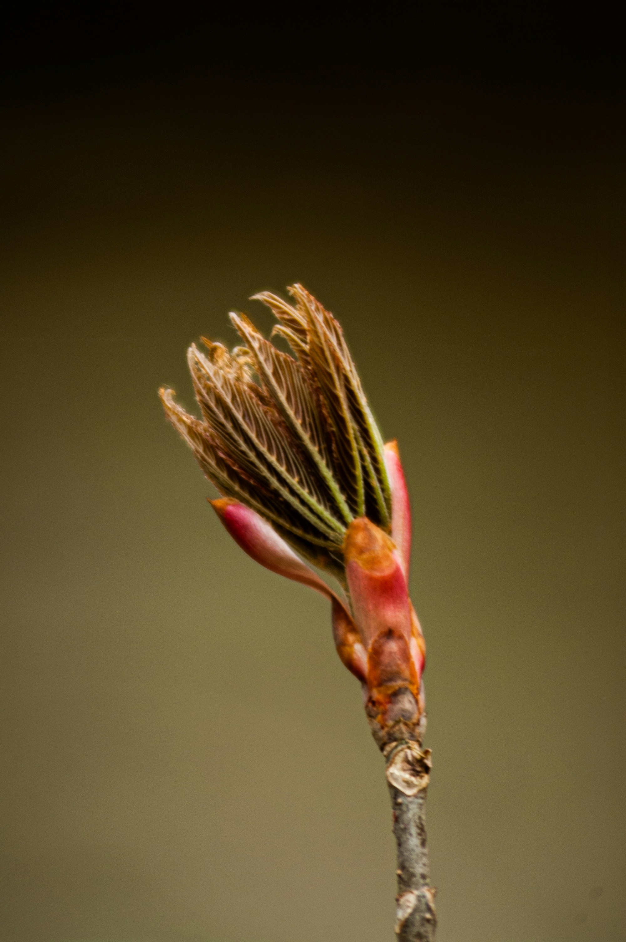 Photo by johnmathews