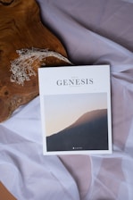 A book titled 'Book of Genesis' is placed on a draped sheer white fabric with a piece of wood and dried flowers nearby. The book cover features an image of a landscape with a mountain against a subdued sky.