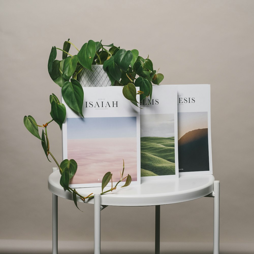 green plant on white table