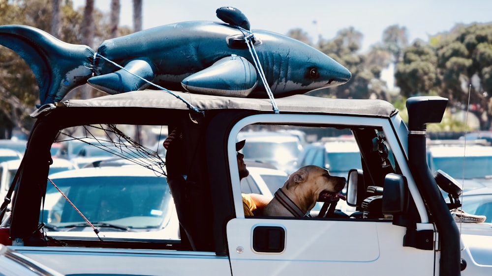 brown short coated dog on blue and white car during daytime