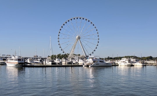 white ferris wheel near body of water during daytime in National Plaza United States