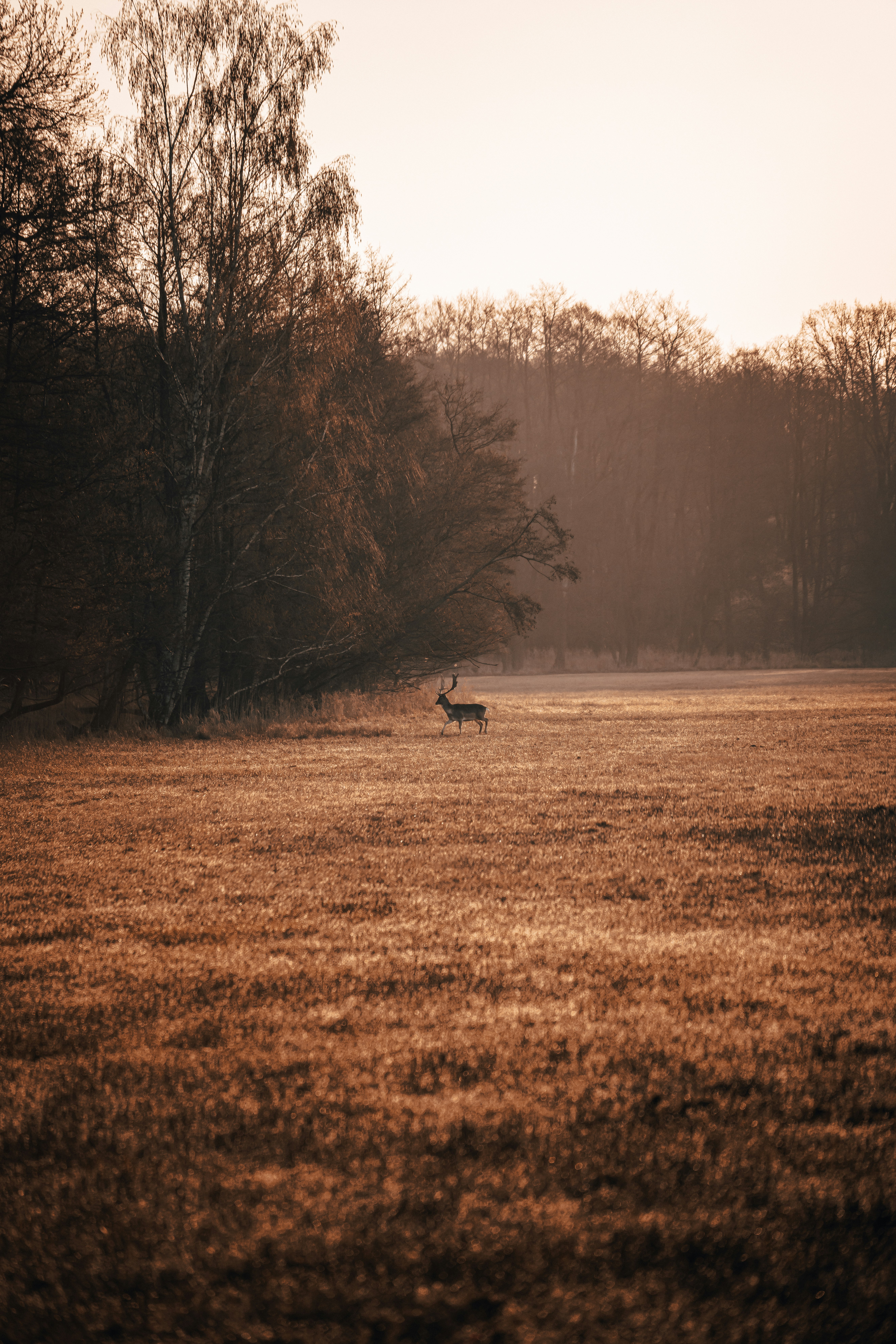 Photo by mirkosphoto