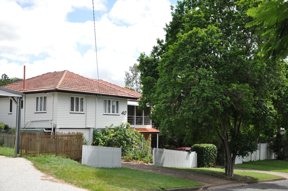 green tree beside white wooden fence